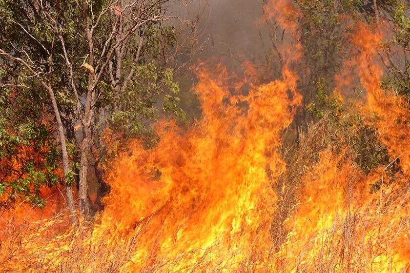 'Abatement burning' is the lighting of controlled fires as soon as possible after the wet season (AAP)
