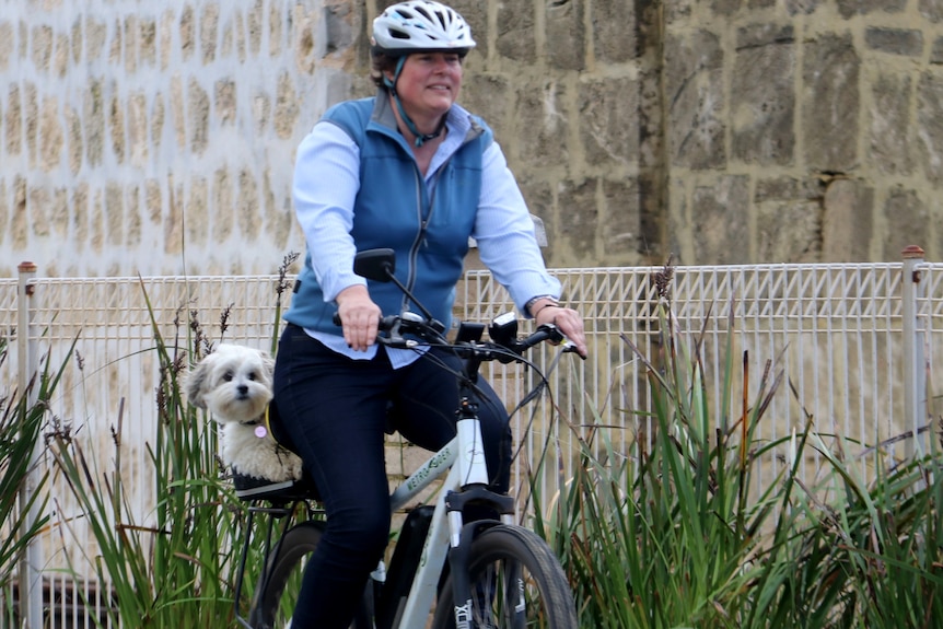 A lady rides an e-bike with a little dog in a basket