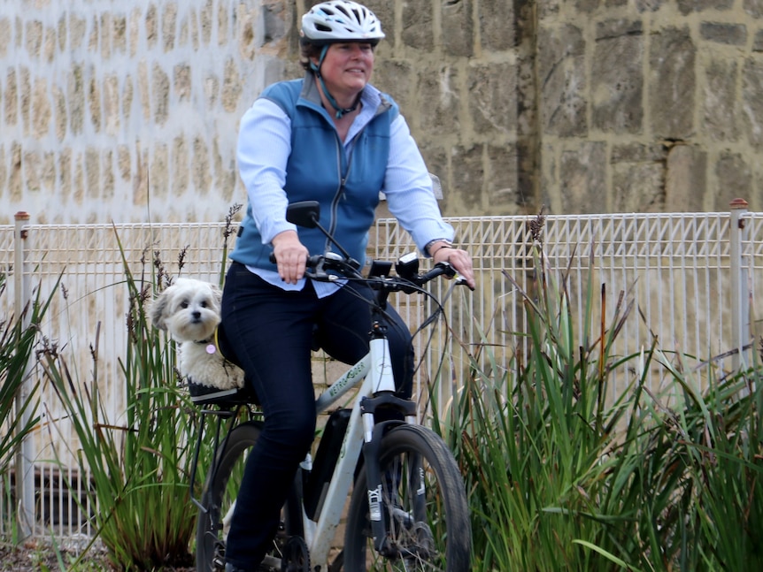 A lady rides an e-bike with a little dog in a basket