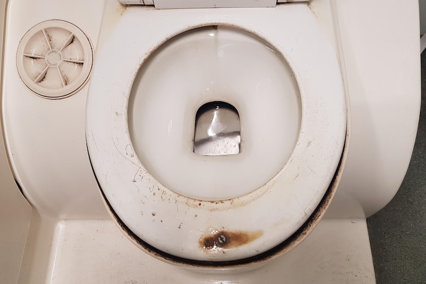 A rusted, dirty toilet seat.