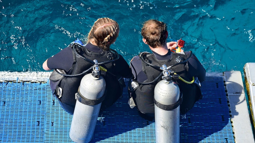 Two scuba divers sit ready to enter the water off Cairns