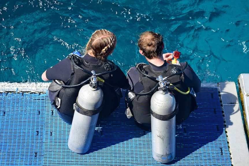 Two scuba divers sit ready to enter the water off Cairns