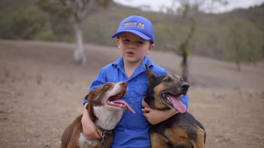 boy on a farm holding his two dogs