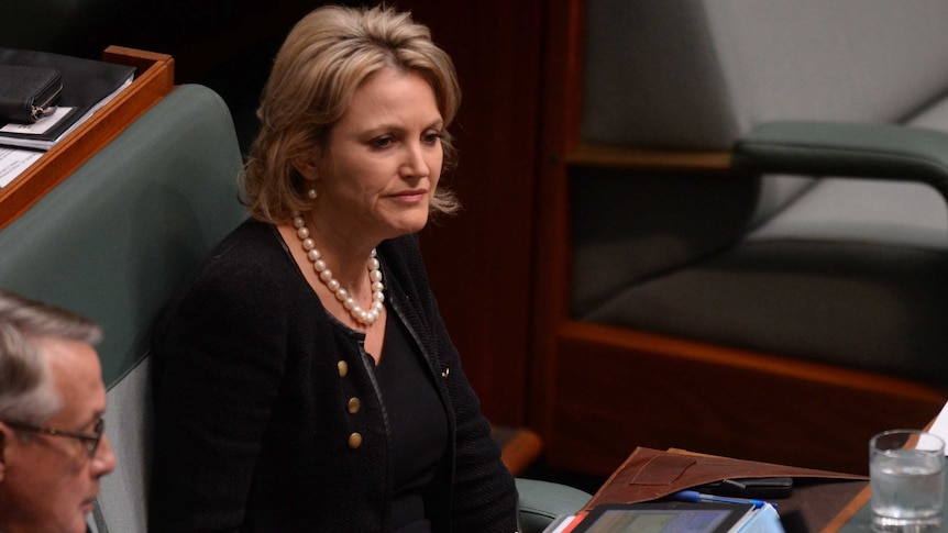 Labor backbencher Melissa Parke in Parliament