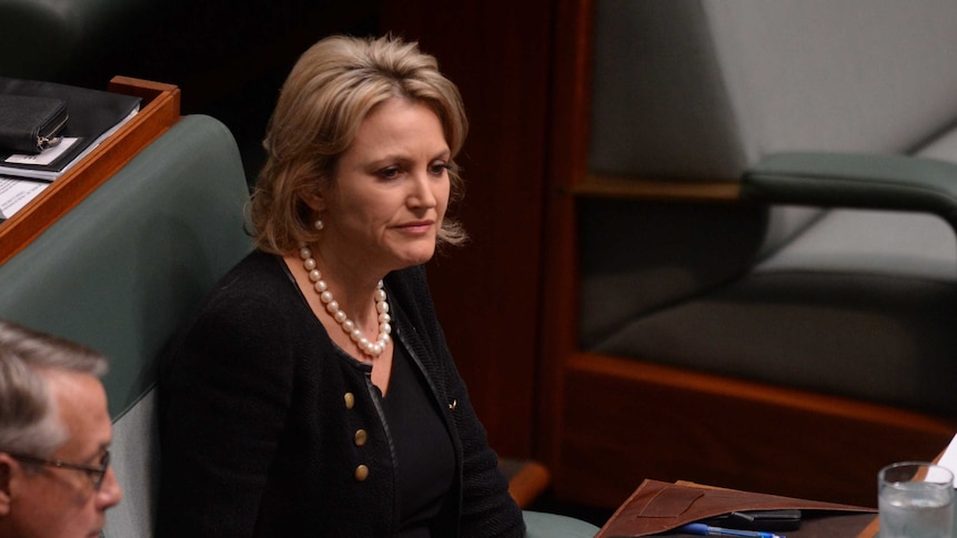 Labor backbencher Melissa Parke in Parliament