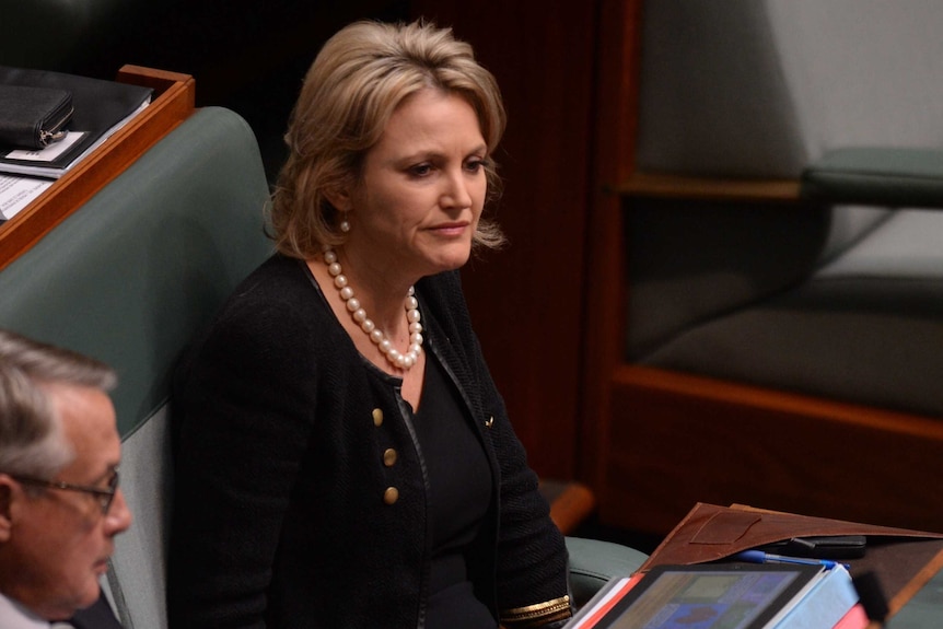 Labor backbencher Melissa Parke in Parliament