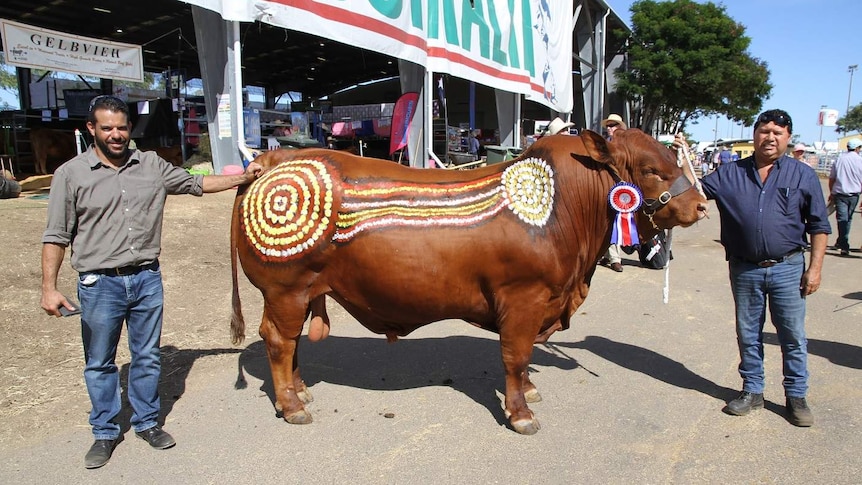 Two men stand on either side of bull, which has been painted in Indigenous style