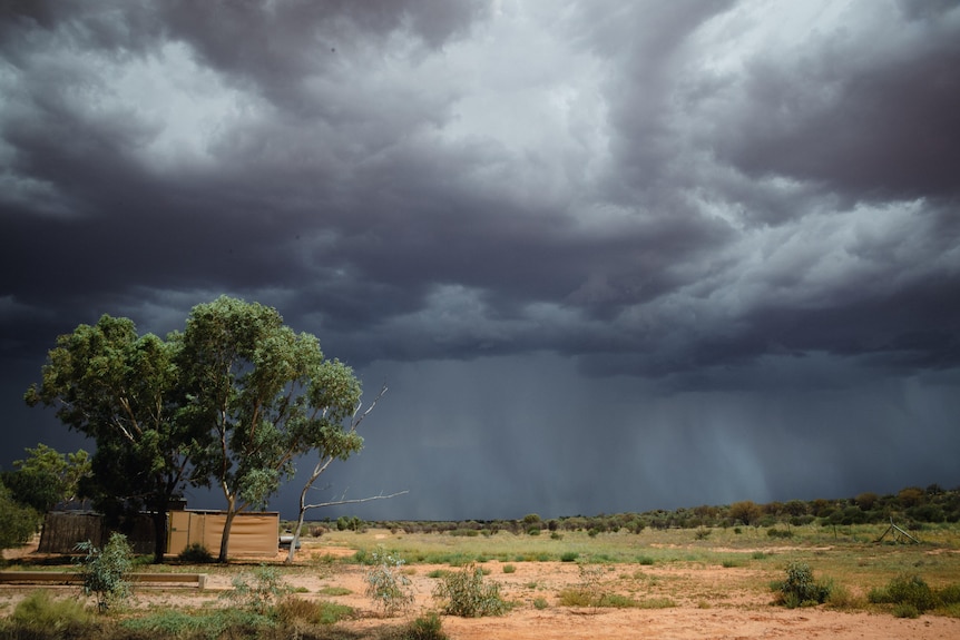 An eerily dark, cloudy sky against a field with sparse patches of green grass and a large tree