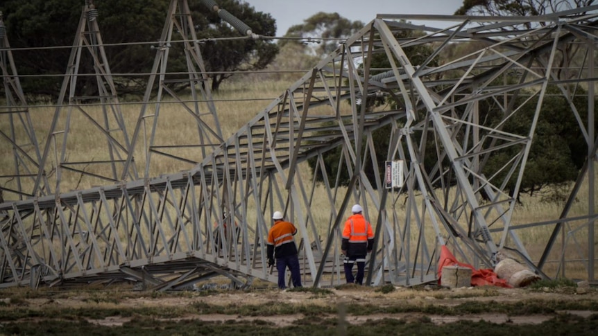 A toppled transmission tower just outside Tailem Bend.