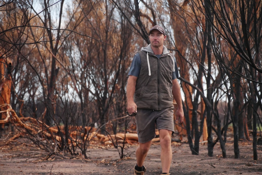 Angus Armstrong walks through fire-ravaged bush