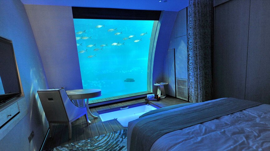 Fish swim past the window of a suite that offers views of South East Asia aquarium.