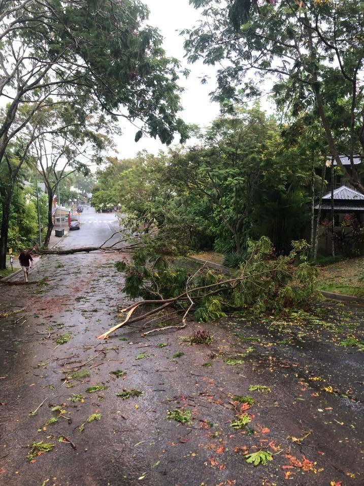 Downed trees in Port Douglas after heavy rain and strong winds caused by ex-tropical cyclone Owen.