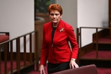 Pauline Hanson, dressed in a red jacket, wears a serious expression as she walks out of the Senate.