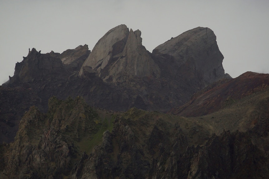 The volcano on McDonald Island is around 300 metres tall