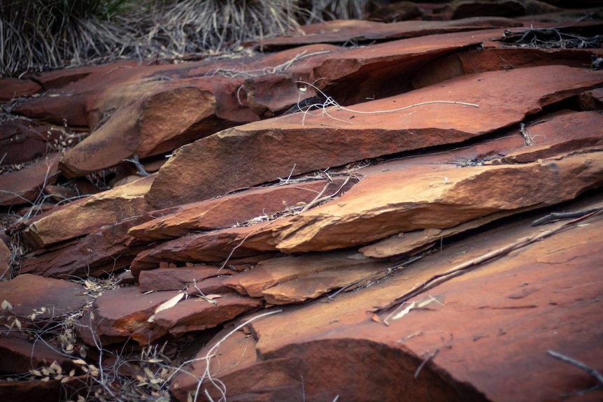 Cracked brown rocks in a creek bed.