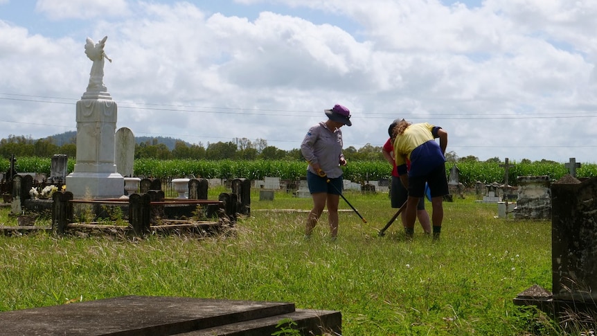 Three people stand in a cemetery, in front of a cane field, holding a shovel and metal detector