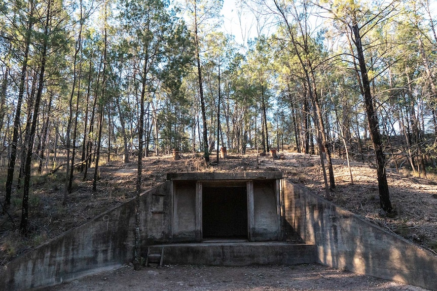 The door of a concrete bunker cut into a hill with trees all around