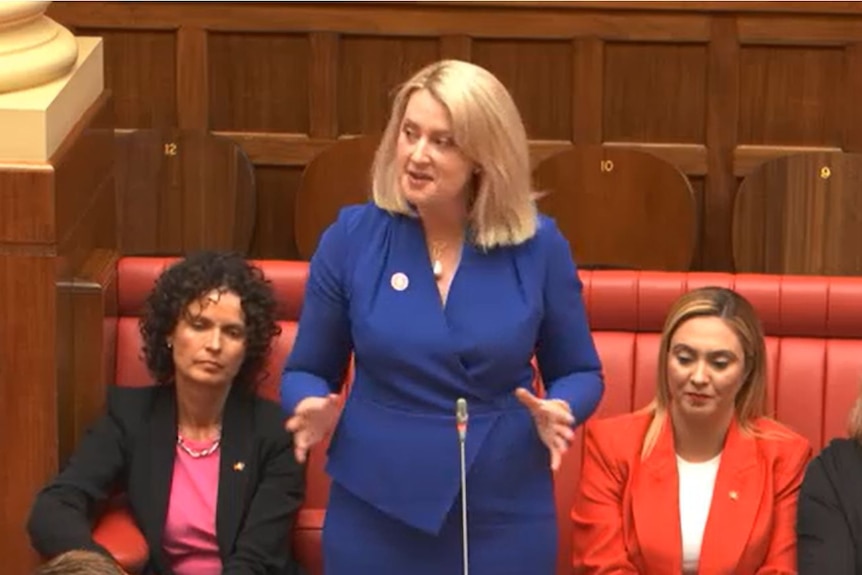 Lucy Hood standing up in parliament speaking