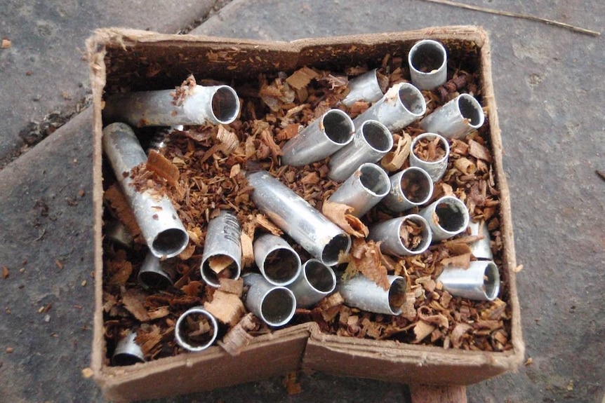 A box filled with brown strips of paper for padding, filled with small metal tubes