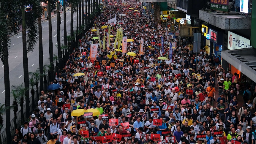 Thousands of protesters, many holding yellow umbrellas, as they march on the street.
