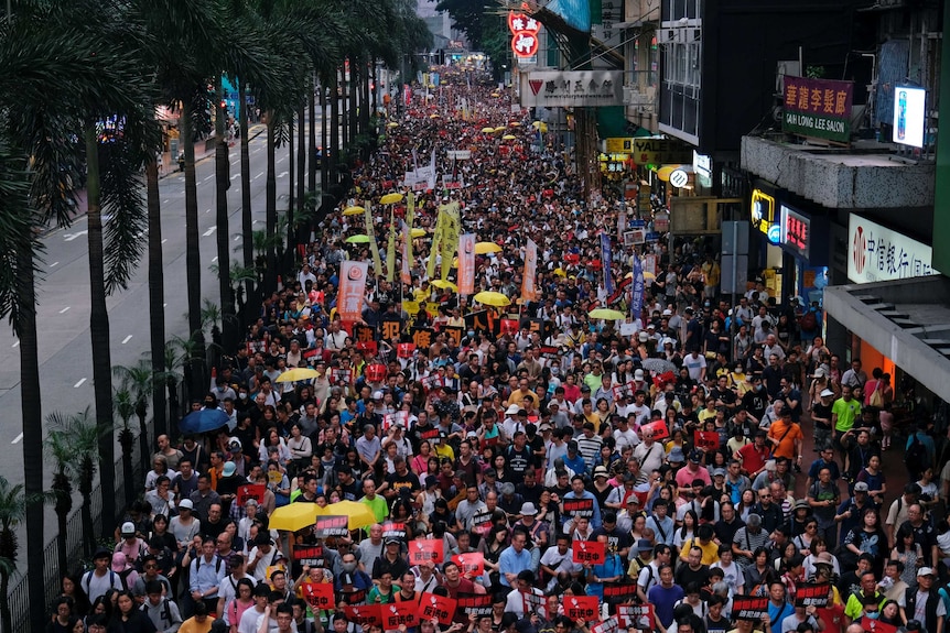 Thousands of protesters, many holding yellow umbrellas, as they march on the street.