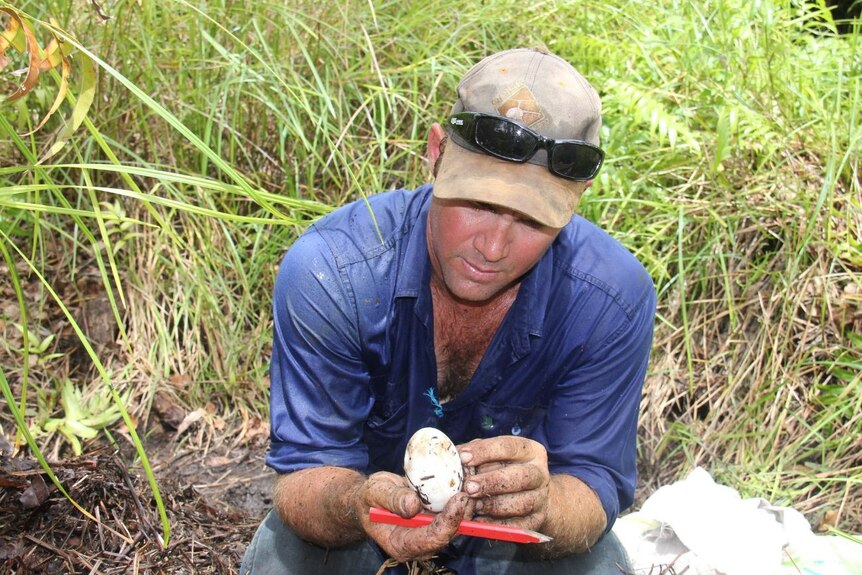 A man in a dark blue shirt and cap crouching in the grass and looking at a crocodile egg. 