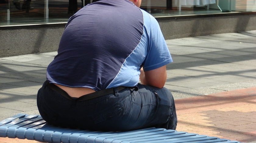 Obese man sits on a bench