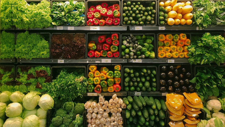 De nombreuses enquêtes sont en cours sur la hausse des prix des produits d’épicerie.  Voici ce qu’ils examinent