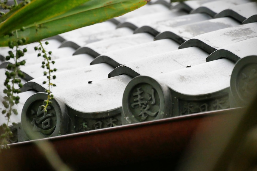 A close up of a traditional roof on a Japanese house