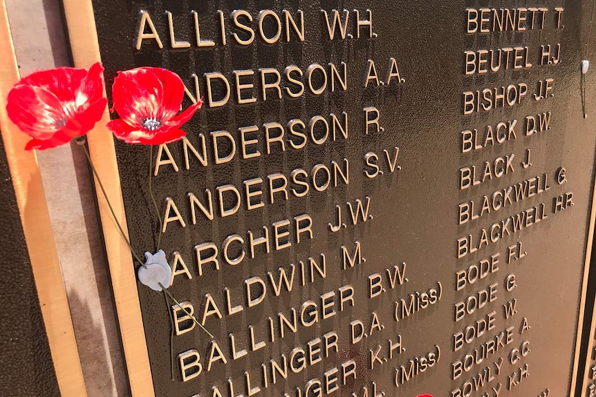 Two poppies stuck beside the name Archer J.M on the Roll of Honour in Winton