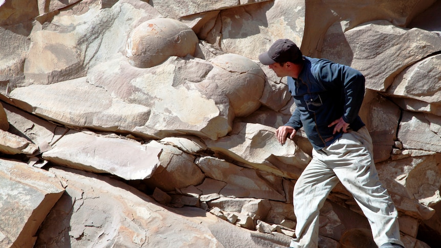A man looks at what is believed to be fossilised dinosaur eggs in Chechnya