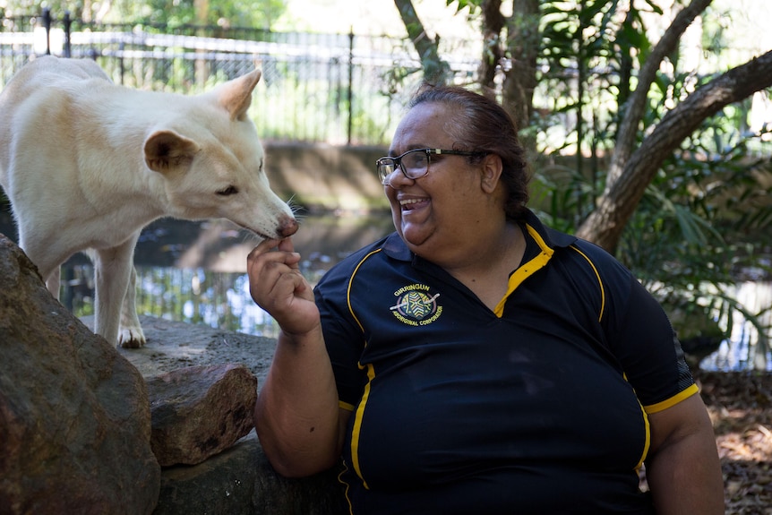 An Indigenous woman sits next to a white dingo and is feeding it a small treat at an animal sanctuary