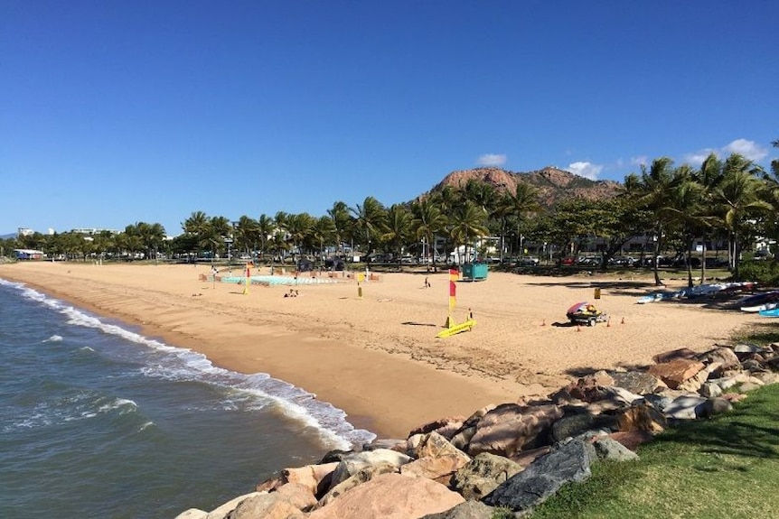 A landscape view of the beach at The Strand in Townsville with swaying palm trees and Castle Hill in the background