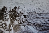 Four men stand in tuna wracks on the Tacoma, submerged in water, poling tuna.