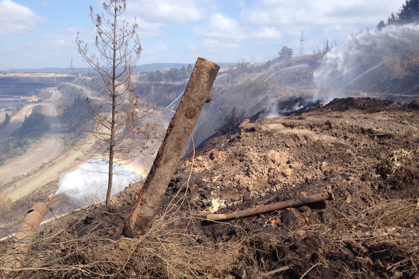 Tree stump in the Hazelwood mine