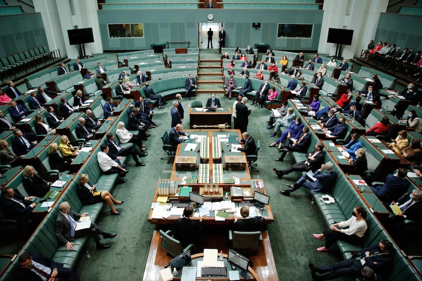 A wide shot of parliament house.