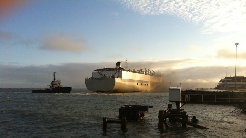 Tugboat pulls live export ship Al Messilah out of port at Port Adelaide