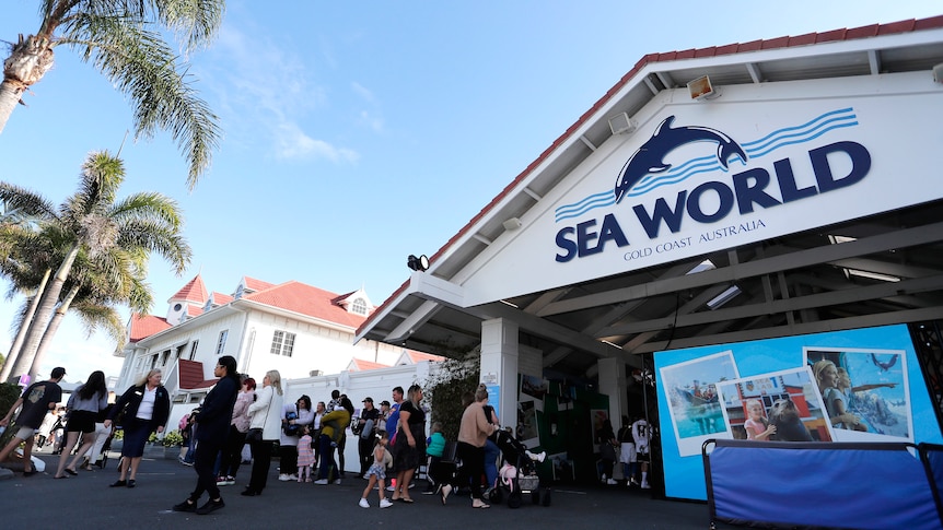 People queue to enter the Sea World theme park on the Gold Coast