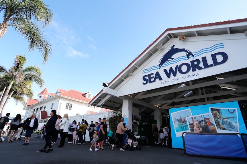 People queue to enter the Sea World theme park on the Gold Coast