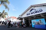 People queue to enter the Sea World theme park on the Gold Coast