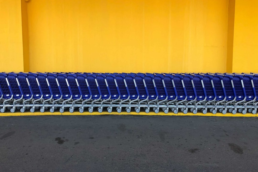 Blue shopping carts lined up against a solid yellow wall.