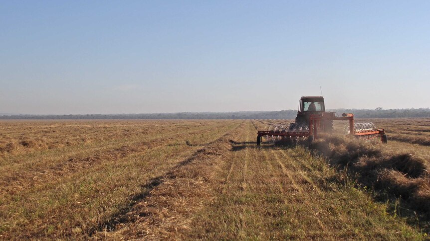 A tractor swathing hay.