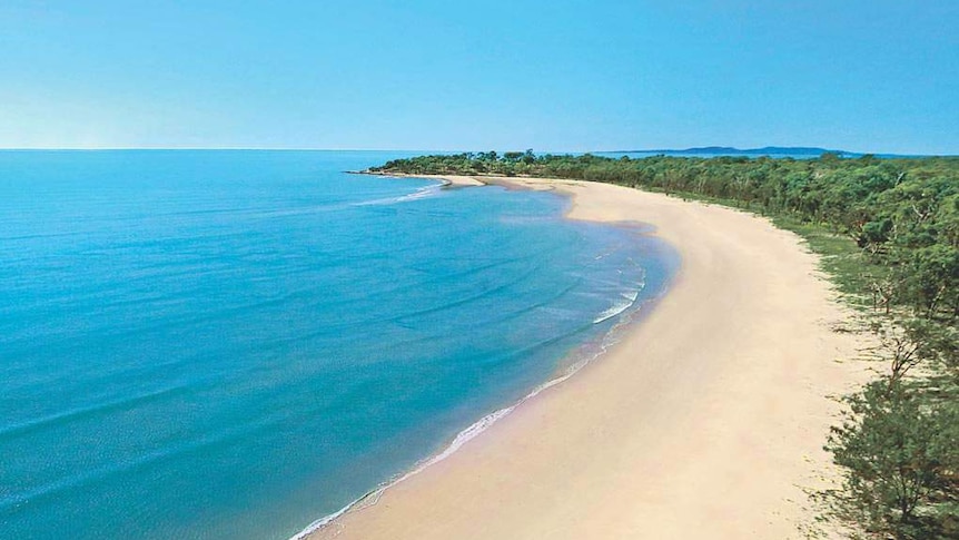 a pristine beach on an island