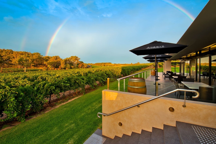 A cellar door balcony next to grape vines below a rainbow