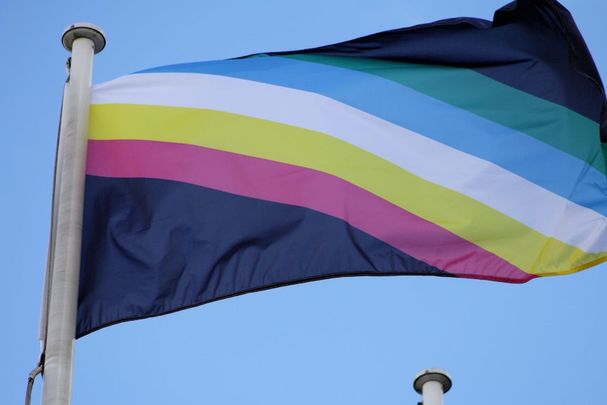 A picture of the Disability Pride flag on a flagpole