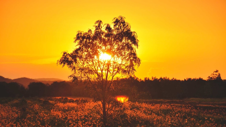 Sunset in the Kimberley, WA