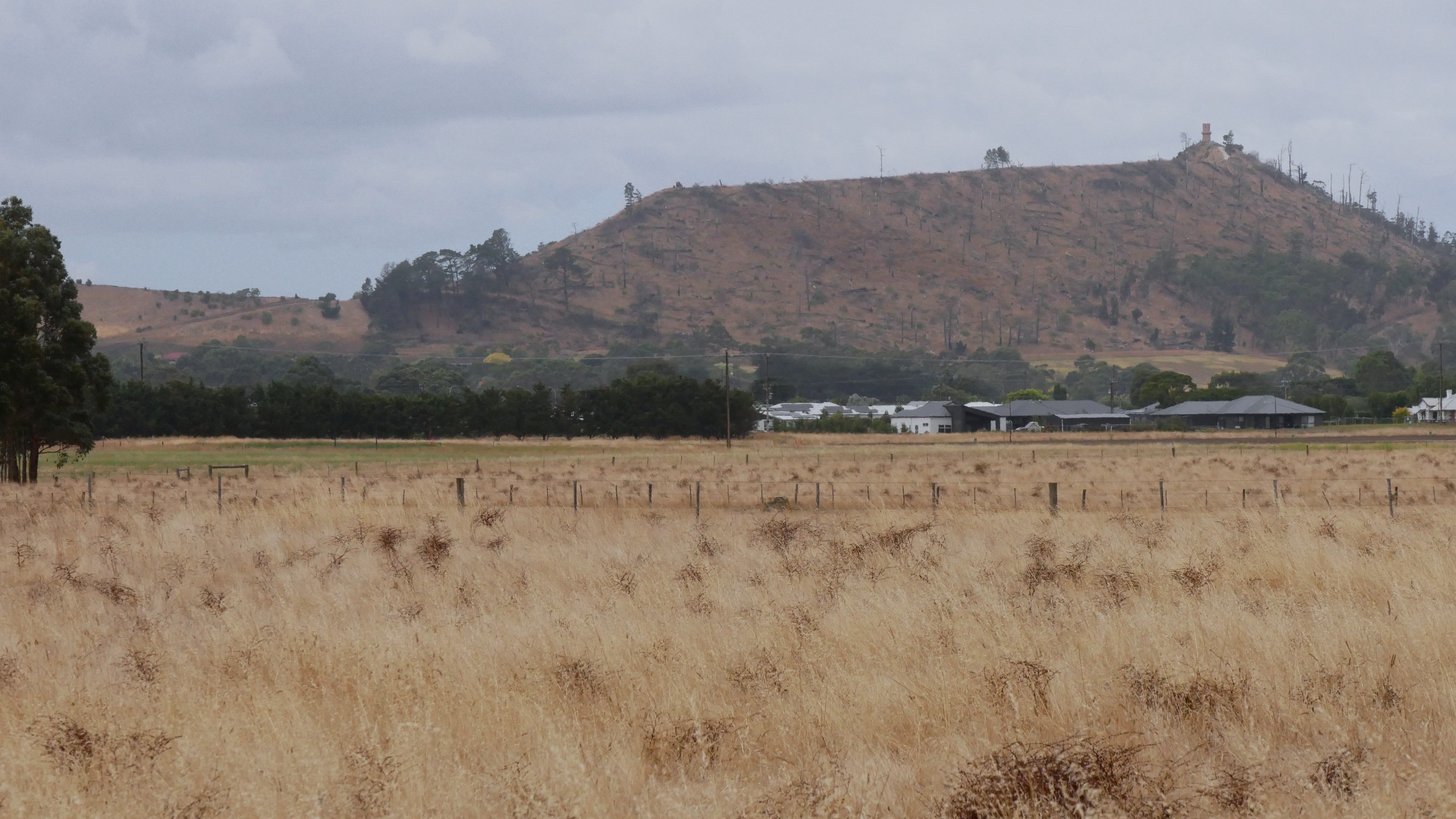 Поле с рядом больших домов на горизонте и горой на заднем плане.
