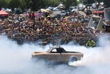 Action on the burnout pad at Summernats in Canberra.