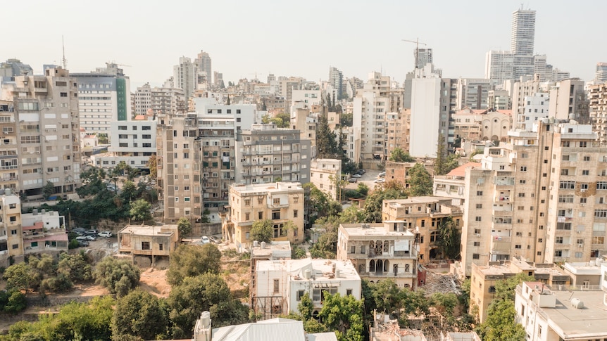 Many buildings grouped together with trees between them.