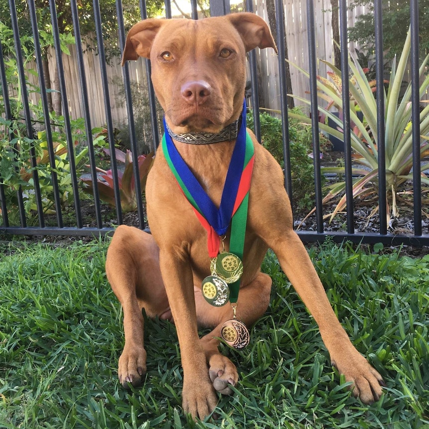 Stella with medals around her neck.